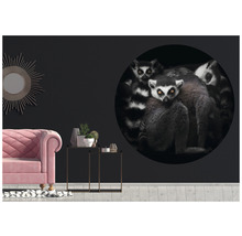 Fototapeta vliesová Lemur 95 cm
