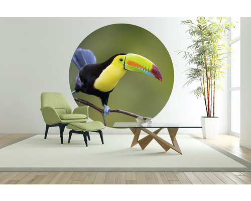 Obývacia izba s kreslom, konferenčným stolíkom, izbovou rastlinou a nástennou nálepkou s motívom tukana