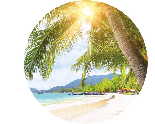 Tropická pláž s palmami a slnkom