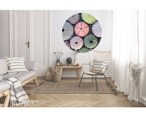 Obývacia izba s pohovkou, kreslom, kobercom a nástennou nálepkou s motívom morského ježka