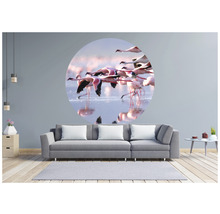 Fototapeta vliesová Plameniaky 142,5 cm