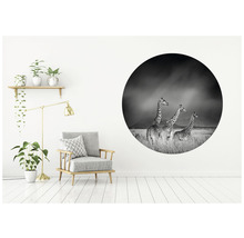 Fototapeta vliesová Žirafy č/š 142,5 cm