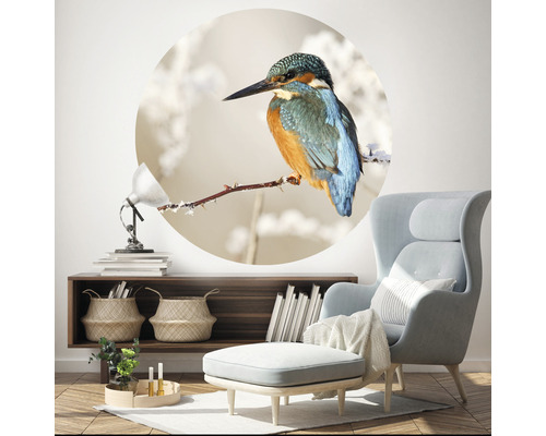 Nástenná maľba so zimorodkom riečnym na konári v obývacej izbe.