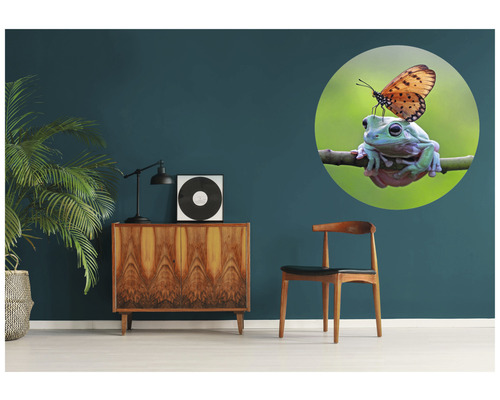 Nástenná nálepka so žabou a motýľom v obývacej izbe.
