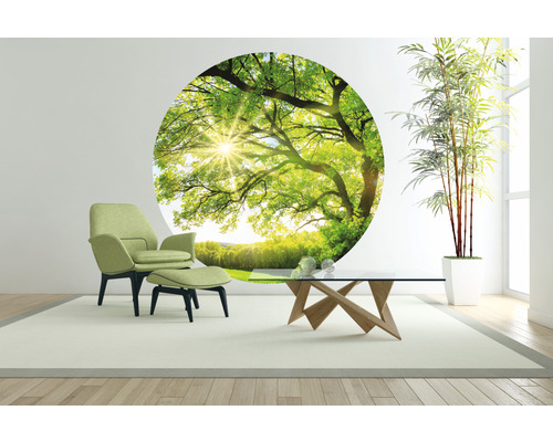 Svetlá obývacia izba so zelenou stenou, kreslom, skleneným konferenčným stolíkom a izbovou rastlinou