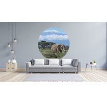 Fototapeta vliesová Kilimandžáro 142,5 cm