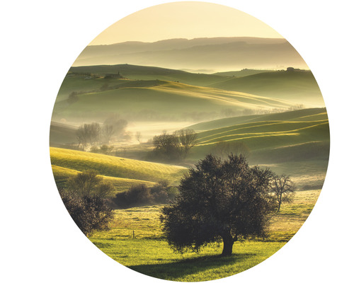 Krajina s kopcami, stromami a hmlou