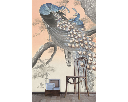 Tapeta s motívom pávov a drevená stolička v miestnosti