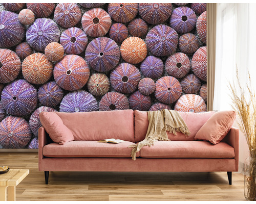 Obývacia izba s pohovkou pred fototapetou s motívom morského ježka.