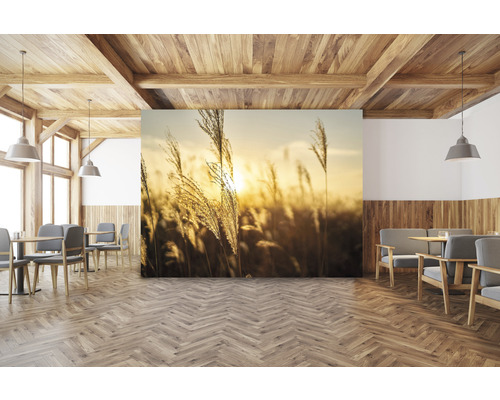 Obývacia izba s dreveným trámovým stropom, drevenou podlahou so vzorom rybej kosti a fototapetou s trávami vo večernom svetle.