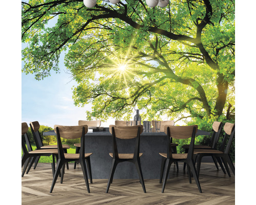 Scéna s jedálenským stolom a tapetou stromu v pozadí.