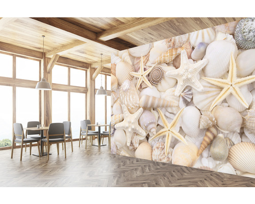 Návrh interiéru s fototapetou s motívom mušlí a hviezdic