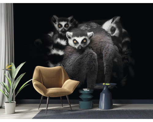 Obývacia izba s fototapetou zobrazujúcou skupinu lemurov