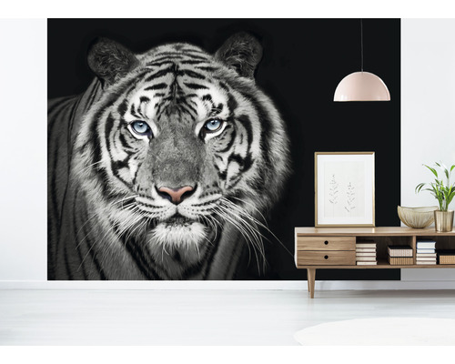 Stena s fototapetou tigra v čiernej a bielej farbe.
