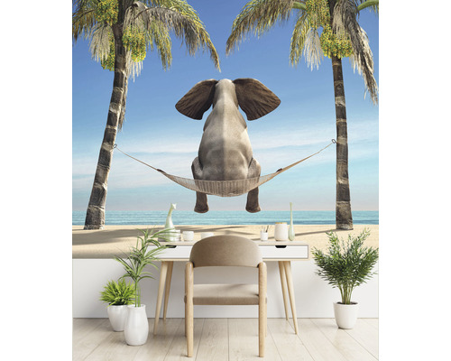 Vliesová tapeta so slonom v hojdacej sieti medzi dvoma palmami na pláži