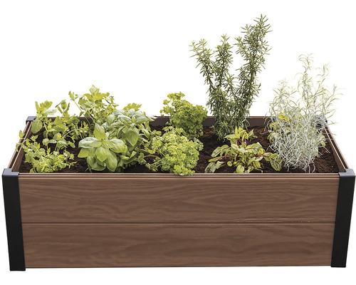 Drevený vyvýšený záhon osadený rôznymi bylinkami