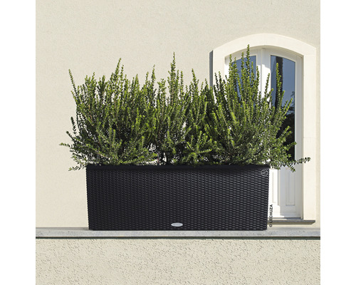 Čierny kvetináč s rastlinami pred stenou domu