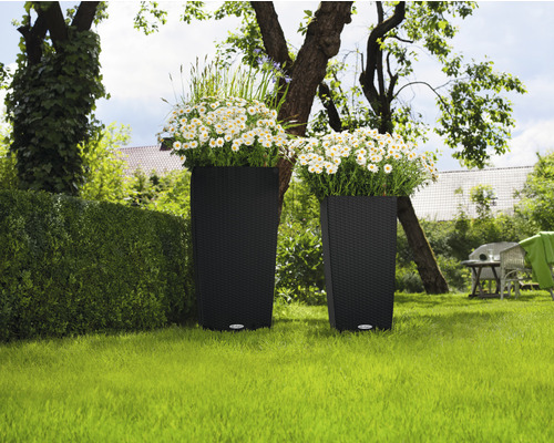 Dva kvetináče s rastlinami v záhrade.