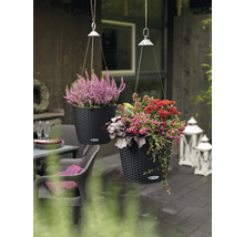 Dva závesné kvetináče s kvetinami na terase.