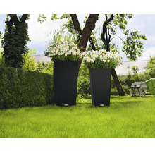 Dva kvetináče s kvetmi v záhrade.