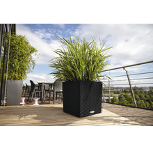 Rastlina v hranatom prútenom kvetináči na drevenej terase