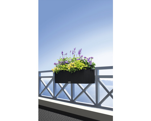 Kvetináč s kvetmi na balkónovom zábradlí