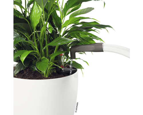 Izbová rastlina so zavlažovacím systémom v kvetináči