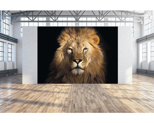 Fotoobraz Lev 350x250 cm