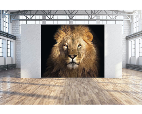 Fotoobraz Lev 300x250 cm