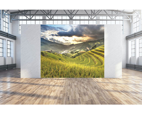 Fotoobraz Sawah 300x250 cm