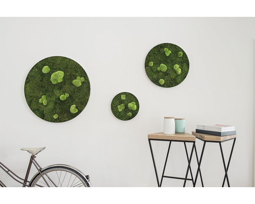 Dekoratívne machové obrazy rôznych veľkostí na stene, bicykel a príručné stolíky v miestnosti.