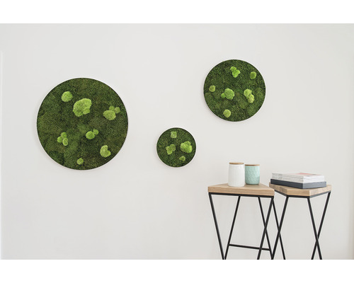 Nástenná dekorácia s machom v troch rôznych veľkostiach nad dvoma odkladacími stolíkmi.