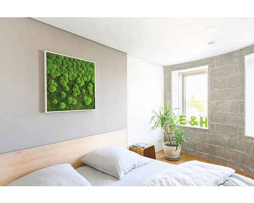 Spálňa s machovým obrazom na stene, posteľou a črepníkovou rastlinou pri okne