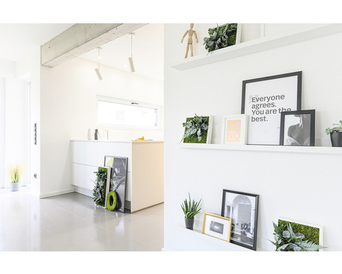 Svetlý interiér s bielymi stenami, policami s dekoráciami a rastlinnými obrazmi