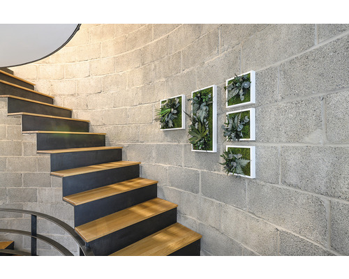 Schodisko s drevenými stupňami a nástenná dekorácia s obrazmi rastlín