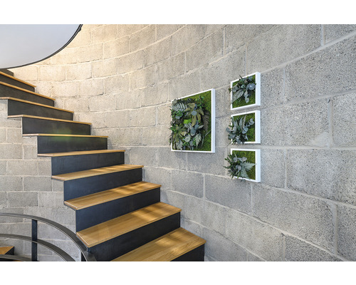 Schodisko s nástennou dekoráciou a obdĺžnikovými machovými obrazmi v ráme