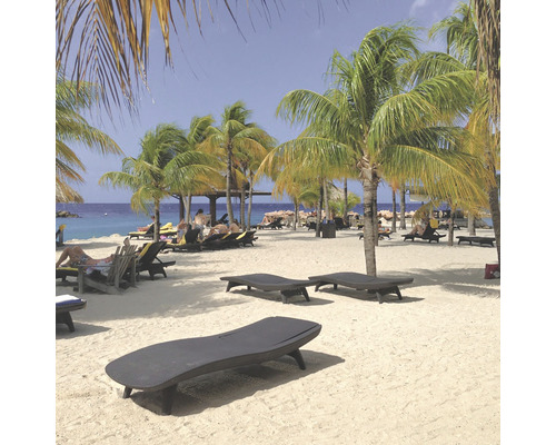 Plážová scéna s lehátkami pod palmami pri mori.