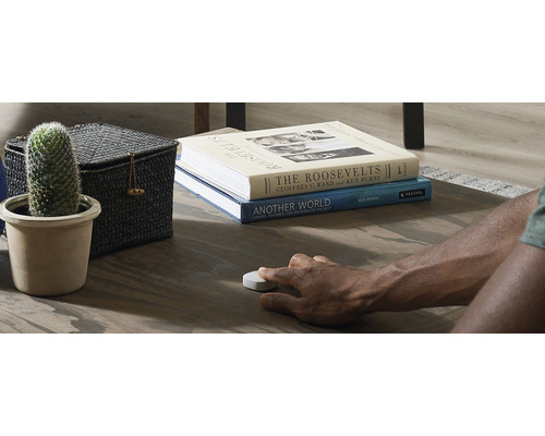 Dekoratívna obývacia izba s kaktusom, úložným košíkom, knihami a osobou ovládajúcou inteligentné tlačidlo