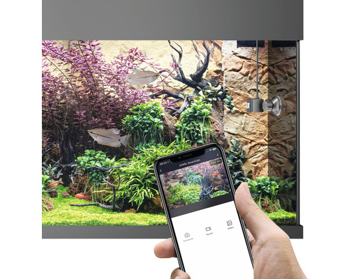Akvárium s rastlinami, rybami, JUWEL SmartCam a inteligentným telefónom