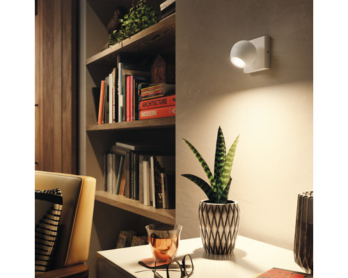 Obývacia izba s knižnicou, izbovou rastlinou a nástenným svietidlom