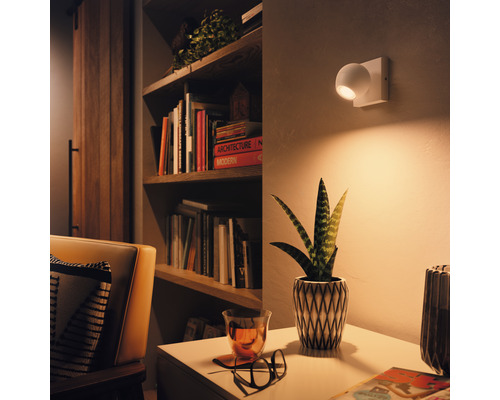 Obývacia izba s regálom, kreslom, stolom, izbovou rastlinou a nástennou lampou