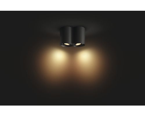 Stropné svietidlo s dvoma reflektormi