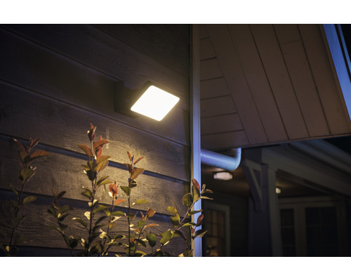 Vonkajšie nástenné svietidlo na stene domu s rastlinami v popredí