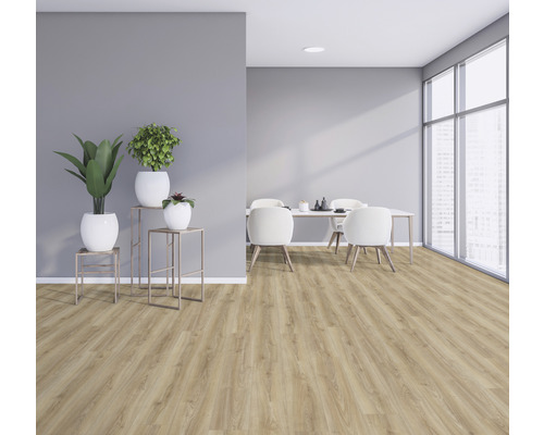 Svetlá miestnosť s drevenou podlahou, jedálenským stolom a izbovými rastlinami