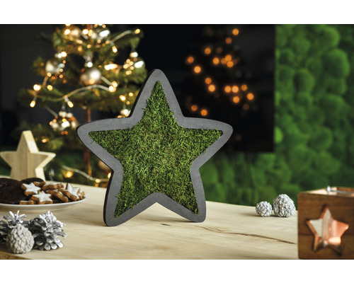 Dekoratívna hviezda z dreva s machovou výplňou ako slávnostná dekorácia stola