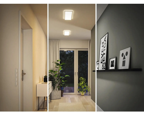 Chodba s dverami, komodou, izbovými rastlinami, stropnými svietidlami a nástennou policou s obrázkami