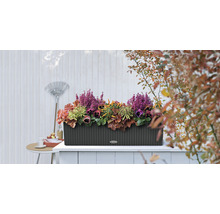 Kvetináč s rôznymi rastlinami na terase