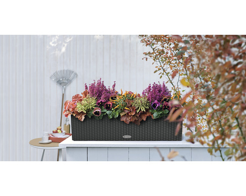 Kvetináč s rôznymi rastlinami na terase