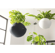 Závesné kvetináče s rôznymi rastlinami