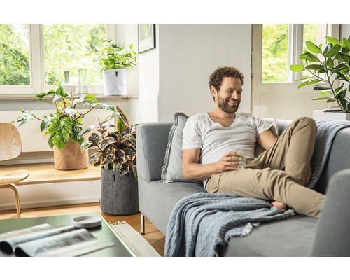 Obývacia izba s mužom na gauči a rastlinami v plstených kvetináčoch